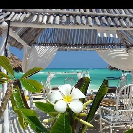Luxury Simba House In Watamu ☆☆☆☆☆アパートメント エクステリア 写真