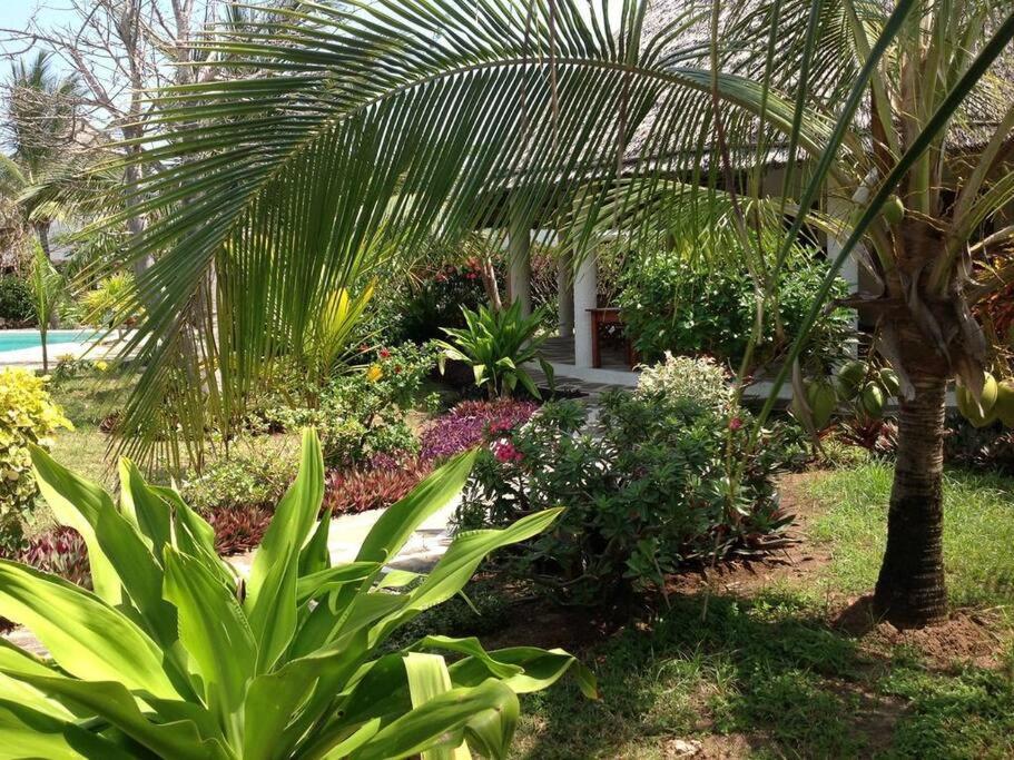 Luxury Simba House In Watamu ☆☆☆☆☆アパートメント エクステリア 写真